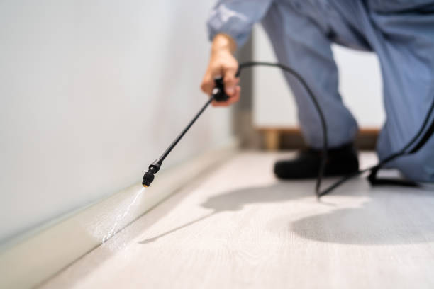 Licensed Termite Control service in Fox Farm-College, WY - Nex Pest Control