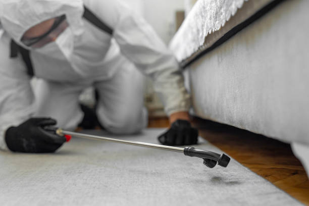 Professional Termite Control technician working in Fox Farm-College, WY