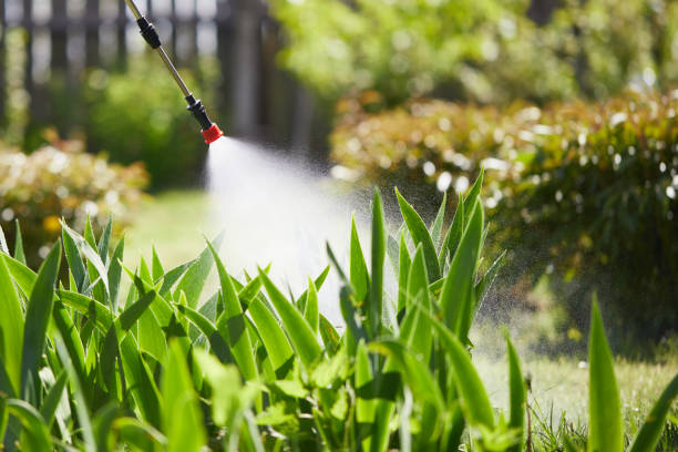 24/7 Emergency Termite Control experts in Fox Farm-College, WY
