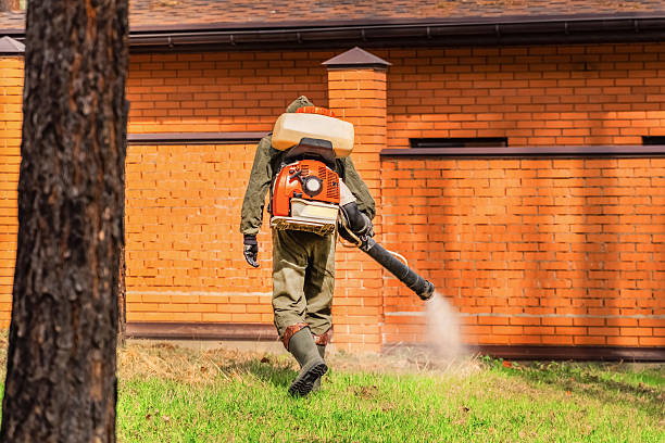 Trusted Bed Bug Control service in Fox Farm-College, WY - Nex Pest Control